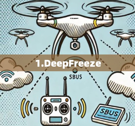 1.DeepFreeze