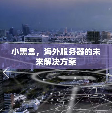 小黑盒，海外服务器的未来解决方案