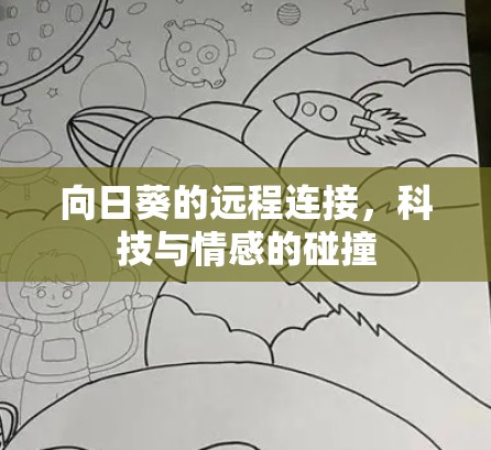 向日葵的远程连接，科技与情感的碰撞