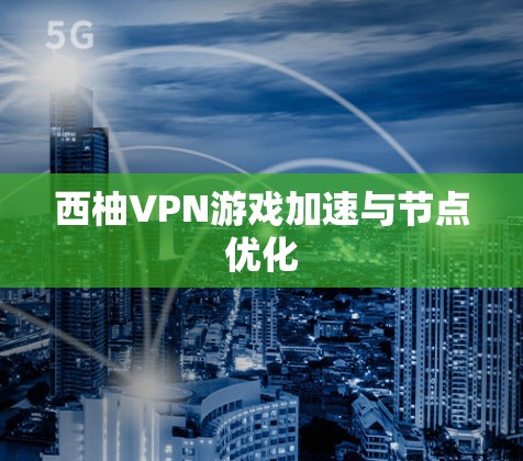 西柚VPN游戏加速与节点优化