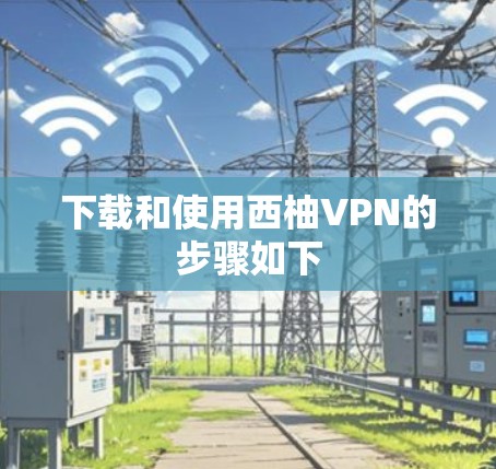 下载和使用西柚VPN的步骤如下
