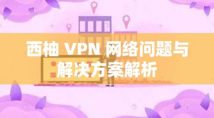 西柚 VPN 网络问题与解决方案解析