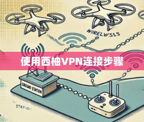 使用西柚VPN连接步骤