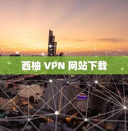 西柚 VPN 网站下载