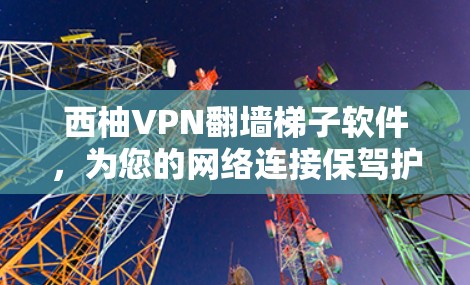 西柚VPN翻墙梯子软件，为您的网络连接保驾护航