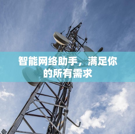 智能网络助手，满足你的所有需求