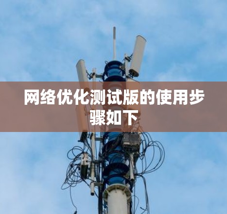 网络优化测试版的使用步骤如下