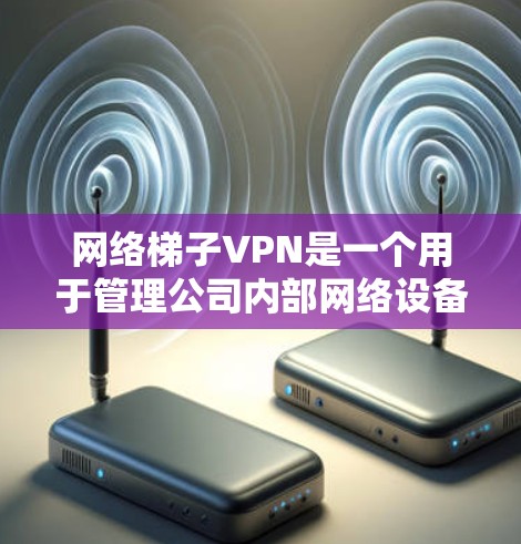 网络梯子VPN是一个用于管理公司内部网络设备的软件，旨在提供安全、高效和灵活的网络访问控制。以下是对网络梯子VPN的详细介绍