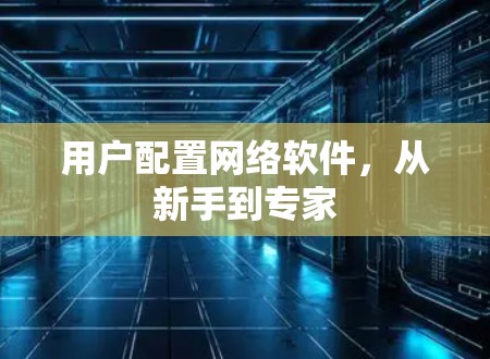 用户配置网络软件，从新手到专家