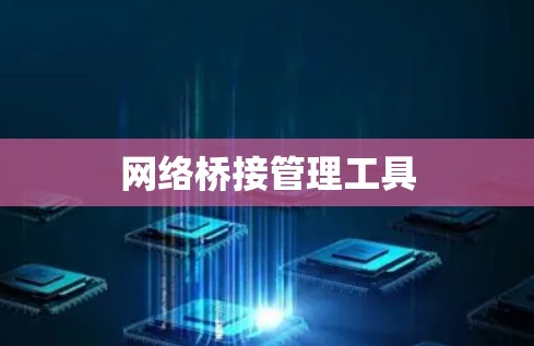 网络桥接管理工具