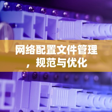 网络配置文件管理，规范与优化