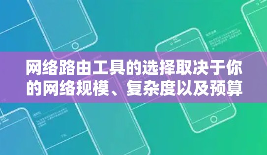 网络路由工具的选择取决于你的网络规模、复杂度以及预算。以下是一些推荐的工具，结合了简单版和专业版的考虑