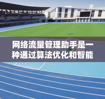 网络流量管理助手是一种通过算法优化和智能管理网络流量的系统，广泛应用于多个领域。以下是对其功能和应用的详细说明