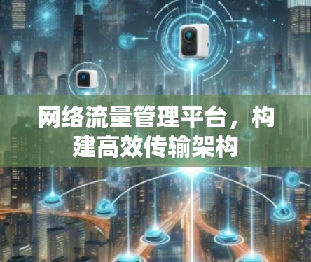 网络流量管理平台，构建高效传输架构