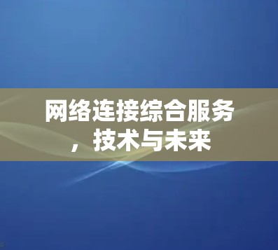 网络连接综合服务，技术与未来