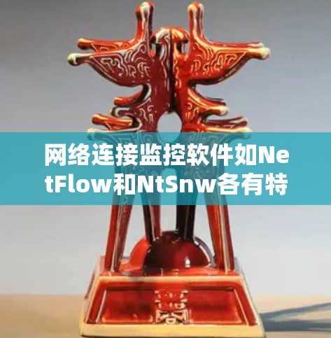 网络连接监控软件如NetFlow和NtSnw各有特色