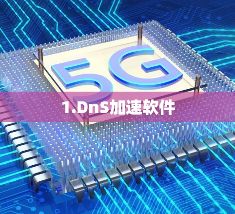 1.DnS加速软件