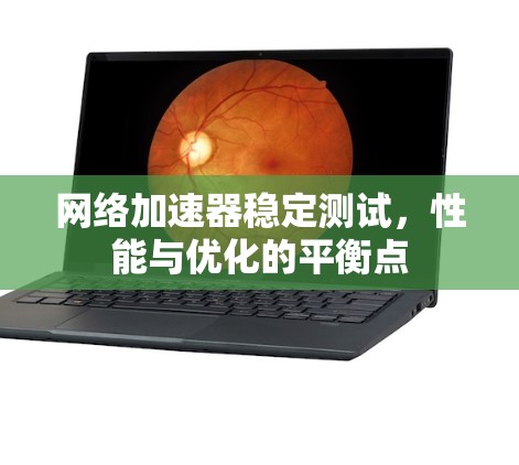 网络加速器稳定测试，性能与优化的平衡点