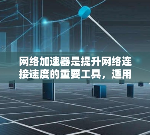 网络加速器是提升网络连接速度的重要工具，适用于服务器、虚拟服务器等环境。以下是使用网络加速器的指南