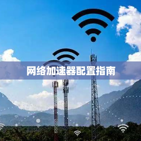 网络加速器配置指南