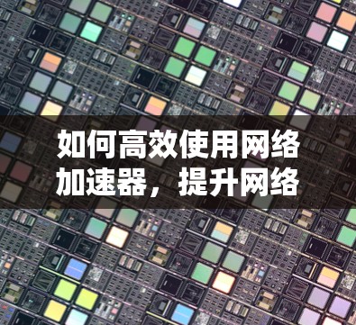 如何高效使用网络加速器，提升网络性能？