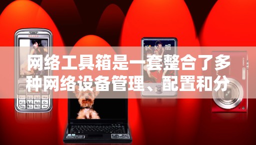网络工具箱是一套整合了多种网络设备管理、配置和分析功能的软件包，旨在帮助用户高效管理网络环境。以下是对网络工具箱的详细介绍
