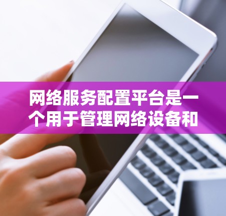 网络服务配置平台是一个用于管理网络设备和配置软件的软件工具，旨在简化和优化网络设备的管理。以下是对该平台的详细总结