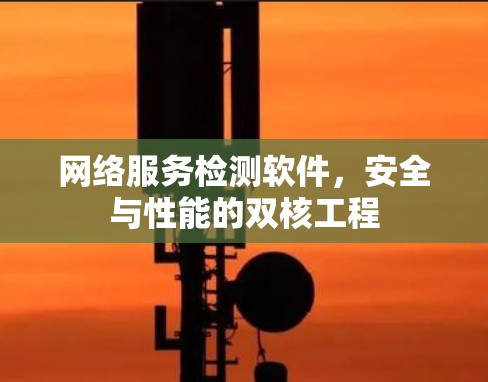 网络服务检测软件，安全与性能的双核工程