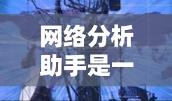 网络分析助手是一种用于分析和评估网络环境的工具，帮助用户了解网络的结构、流量、性能等。以下是网络分析助手的详细信息
