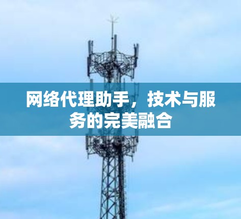 网络代理助手，技术与服务的完美融合