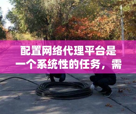 配置网络代理平台是一个系统性的任务，需要遵循以下步骤以确保网络环境稳定和高效