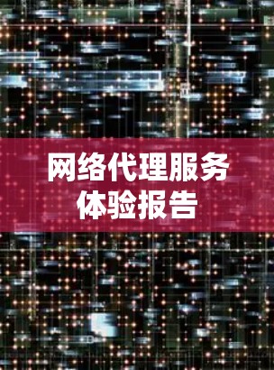 网络代理服务体验报告