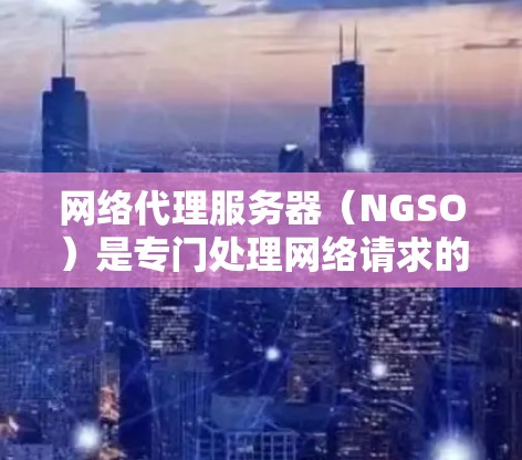 网络代理服务器（NGSO）是专门处理网络请求的服务器，主要负责HTTP请求的网络部分。以下是关于网络代理服务器的详细信息