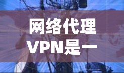 网络代理VPN是一种通过另一个VPN服务器来连接到目标服务器的网络转换技术，主要用于降低成本和提高安全性。以下是对网络代理VPN线路的详细总结和推荐
