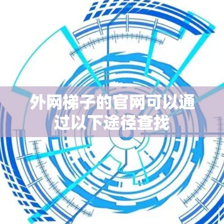 外网梯子的官网可以通过以下途径查找