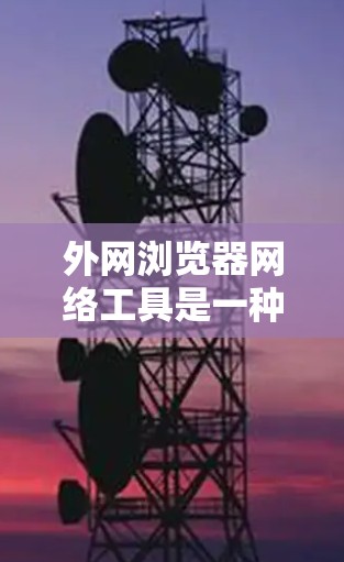 外网浏览器网络工具是一种供用户访问外部服务器的浏览器应用，旨在简化文件上传、资源下载等操作。以下是对这些工具的详细分析