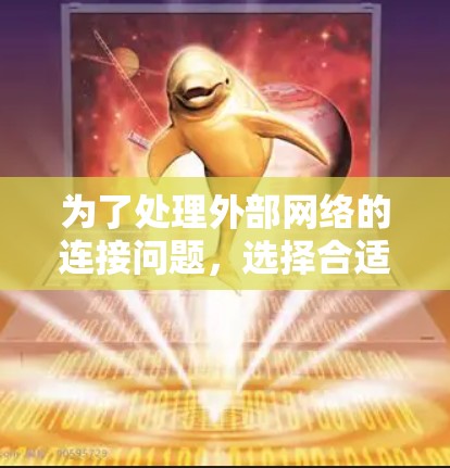 为了处理外部网络的连接问题，选择合适的工具至关重要。以下是一些推荐的外网连接辅助软件，并根据不同的需求进行选择