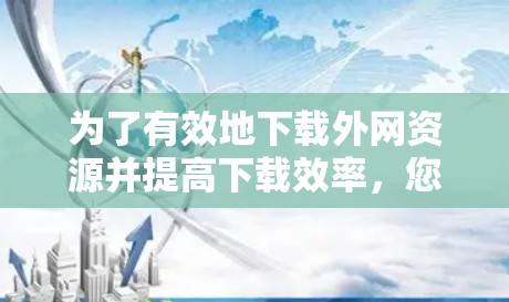 为了有效地下载外网资源并提高下载效率，您可以按照以下步骤操作