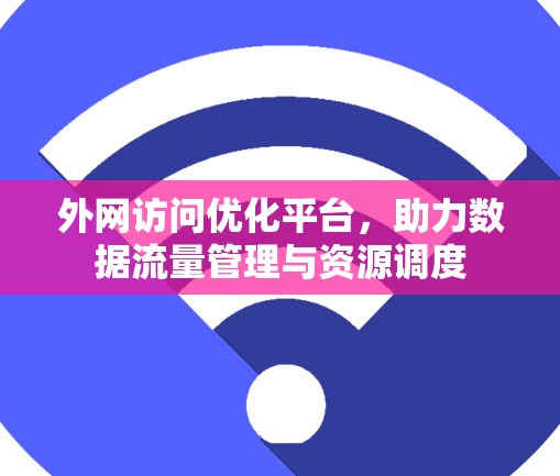 外网访问优化平台，助力数据流量管理与资源调度