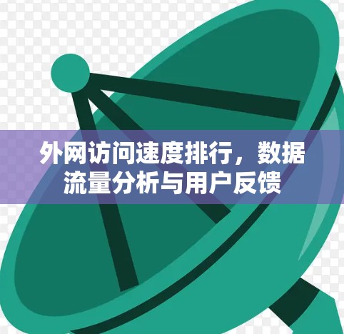 外网访问速度排行，数据流量分析与用户反馈