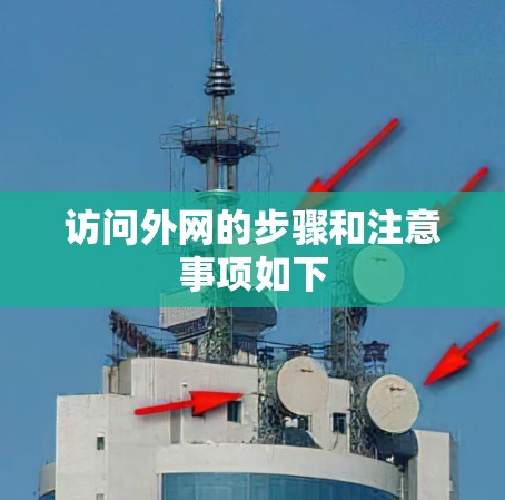 访问外网的步骤和注意事项如下