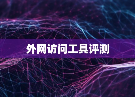 外网访问工具评测