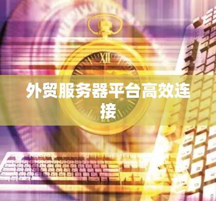 外贸服务器平台高效连接