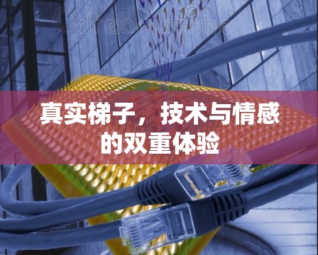 真实梯子，技术与情感的双重体验