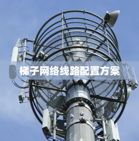 梯子网络线路配置方案