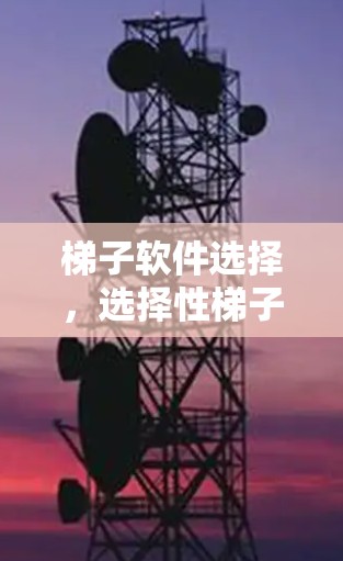 梯子软件选择，选择性梯子软件推荐