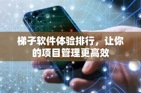 梯子软件体验排行，让你的项目管理更高效